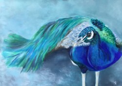 'Arrayed in Splendour'