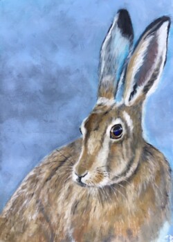'Brown Hare, Blue Sky'
