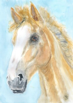 'Palomino Stallion'