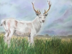 'White Hart'