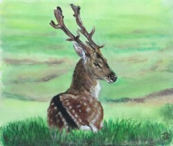 'The World Spread Out Before Him'