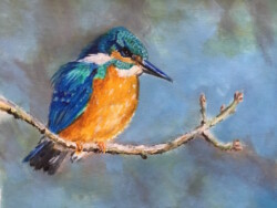 'Kingfisher'