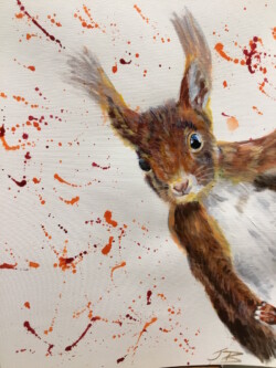'Red Squirrel'