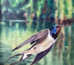 'The Last Swallow of Summer'